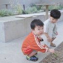 주식회사 키즈잇 네이버블로그