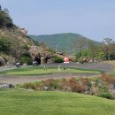 여주-0300 | 여주 렉스필드CC 골프회원권 가격과 혜택정리