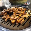 돼한민국 이미지