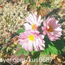 주식회사 내꺼 이미지