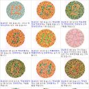 아이월드안경원 이미지