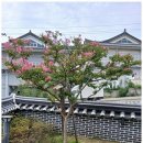 신라펜션