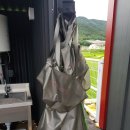 셀세모 금붕점 이미지