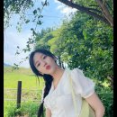 댕스타 이미지
