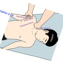 ＜롤핑자세연구소＞ 2월 롤핑 [Unit 1] FI 1- Pelvic girdle and Lower Extremity 세미나 이미지