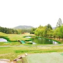 현충원로(유성-18) 이미지