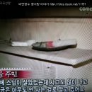 달이야기민박 Daum카페