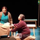 꽃신 구절초 이미지