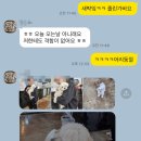 애지중지 | [파주/운정] 운정 애견유치원 애지중지 내돈내산 후기