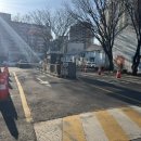 시금치 | 서울 영등포 베이글 맛집 ‘코끼리베이글’ 일요일 오픈런 후기 (시금치베이글 추천!)