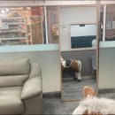 네일박스 이미지