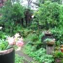 서귀포통나무집 이미지