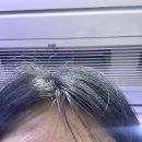 라보떼컴퍼니 | 2023 3월 일상 -1