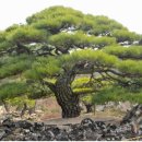 (주)대명스테이션