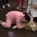 이불 속 댕댕이 이미지