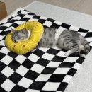 단주리 동물병원 이미지