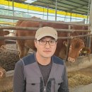 창대축산 이미지