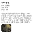 퍼펙트짐 | [서면 방탈출 카페] 룸즈에이 퍼펙트플랜 탈출 후기✨