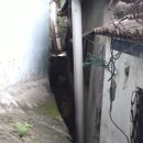 고양이천국 이미지