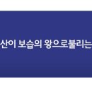 진우기술개발 이미지