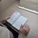 직관과분석 - 전주시 완산구 화산천변5길 16 | 데이터의 시대에 꼭 읽어야 할 책 직관과 객관 도서 후기 숫자에 속지 않는 사고법