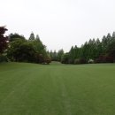 라인골프 이미지