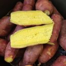 해수로 키운 황토밭 맛있는 햇밤고구마 판매종료 이미지