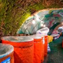 신토불이 광천토굴새우젓 이미지