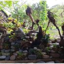 마음의 정원 펜션 이미지