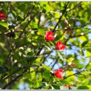 오수(전주)주유소 이미지