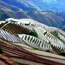 룽성 - 삼척시 청석로 7-40 | 룽성