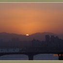 달맞이봉(공원) 이미지