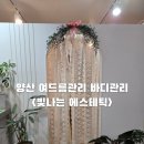 리트머스성형외과 | 양산 여드름관리 바디관리 윤곽케어 빛나는에스테틱