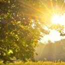 햇빛 좋은 PT 이미지