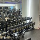 다GYM | 잠실새내헬스장 I 발란아워 GYM&amp;PT에서의 운동후기(최종!)