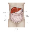 기독장의사 | [영화리뷰] 파묘 보고온 후기 및 파묘 해석 (스포있음)