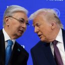 winning dog story's 이미지