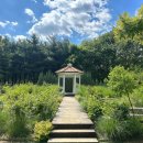 라시트포(LACITPO) 이미지