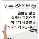 용인대 새봄 태권도 이미지