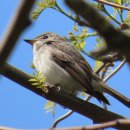 신진도pc 이미지