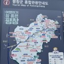 백룡 | 평창 광천선굴, 평창 백룡동굴 여행 후기