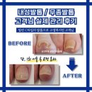 네일바다/닥터풋클린