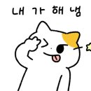 화이트토탈클린 이미지