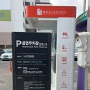 피자스피릿