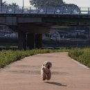 고*호 - 안양시 만안구 연현로79번길 | 고*호