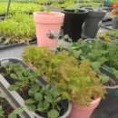 와이케이환경 이미지