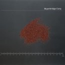 파우더POWDER