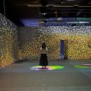 그림책과 함께하는 명화의 재해석 | [강남몰입형전시] K현대미술관에서 즐기는 파리감성전시, 파리의 휴일