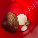 마검포힐링캠핑장 | [태안] 마검포힐링캠핑장 후기/해루질