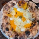 내촌애견 이미지